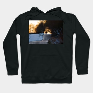 Winter Walk Hoodie